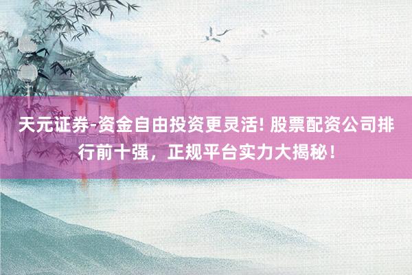 天元证券-资金自由投资更灵活! 股票配资公司排行前十强，正规平台实力大揭秘！